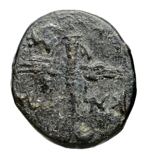 Poseidonia Historia Numorum Italy 1116, реверс, bnf-iris