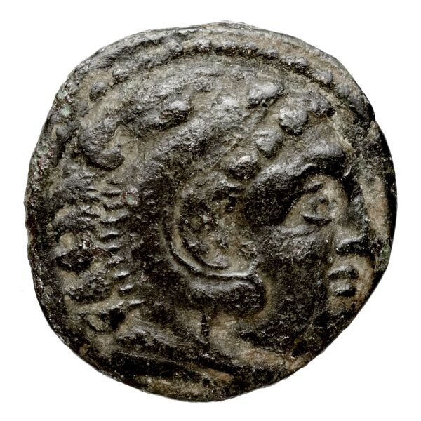Cassander Macedon AMNG III.2 5, аверс, bnf-iris