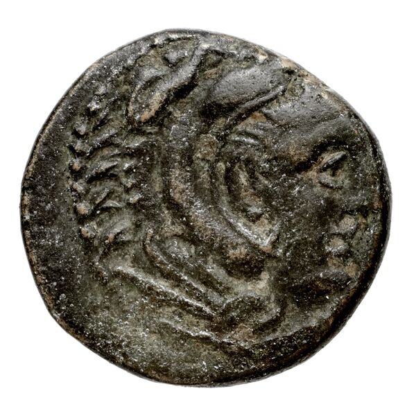Cassander Macedon AMNG III.2 5, аверс, bnf-iris