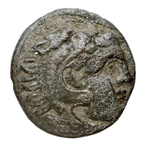 Cassander Macedon AMNG III.2 5, аверс, bnf-iris