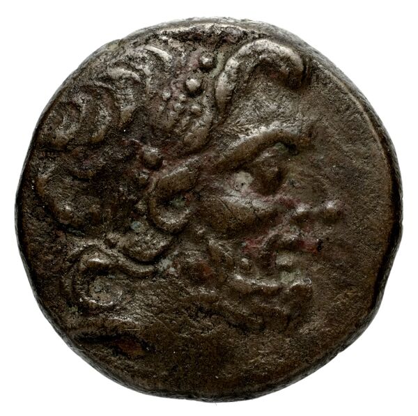 Cassander Macedon AMNG III.2 1-2, аверс, bnf-iris