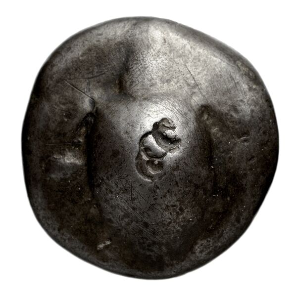 аверс Poseidonia Historia Numorum Italy 1150