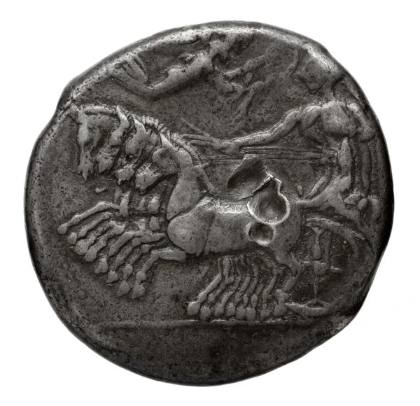 Poseidonia Historia Numorum Italy 1109, obverse, bnf-iris