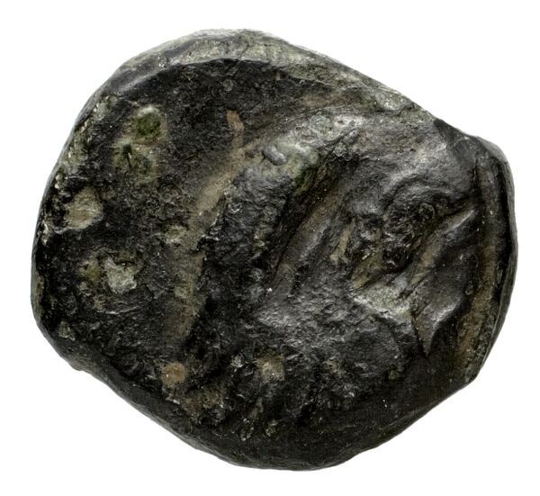 Erythrae Kinns 1980 Period II.3, AE 5, аверс, bnf-iris