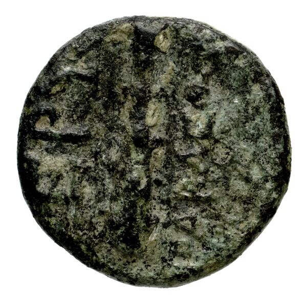 Erythrae Kinns 1980 Period III.1, AE 6, реверс, bnf-iris