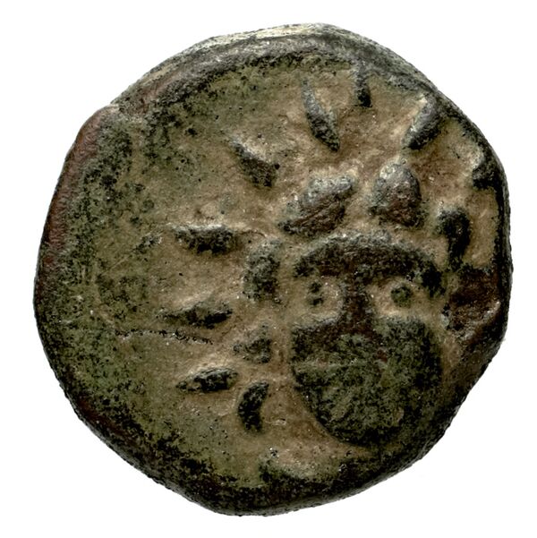 Erythrae Kinns 1980 Period IV, AE 18, аверс, bnf-iris