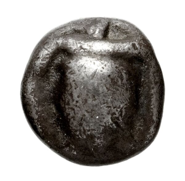 Poseidonia Historia Numorum Italy 1171-9, аверс, bnf-iris