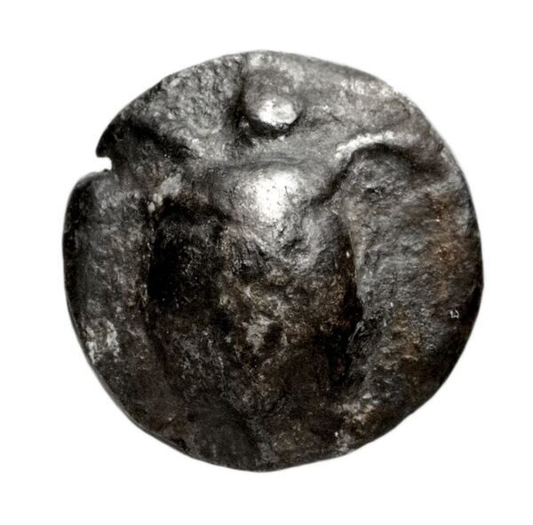 Poseidonia Historia Numorum Italy 1171-9, аверс, bnf-iris