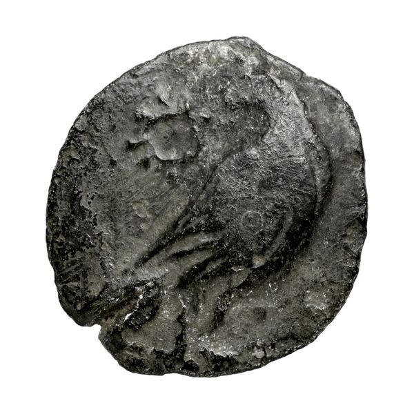 Pyrrhus Corcyra BMC Corcyra 176-177 / 173-181, аверс, bnf-iris