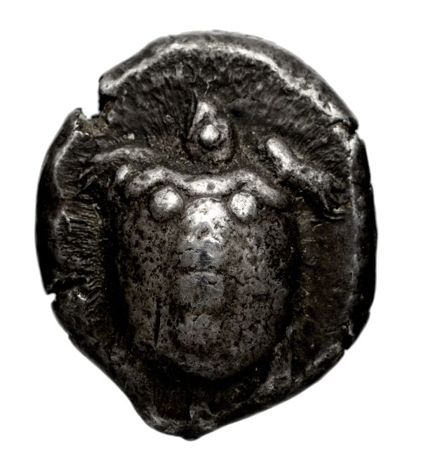 Paestum Historia Numorum Italy 1209, аверс, bnf-iris