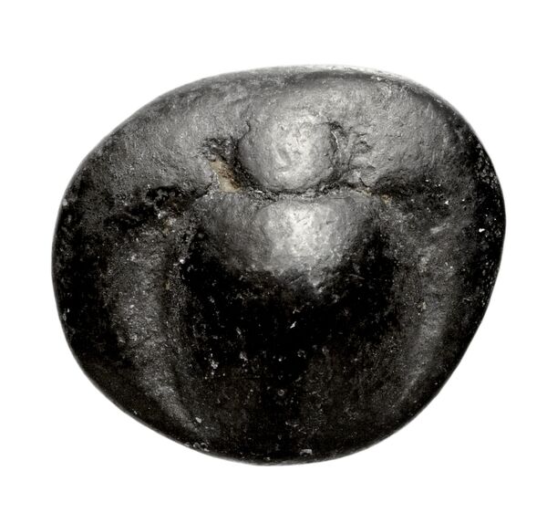 Paestum Historia Numorum Italy 1193, аверс, bnf-iris