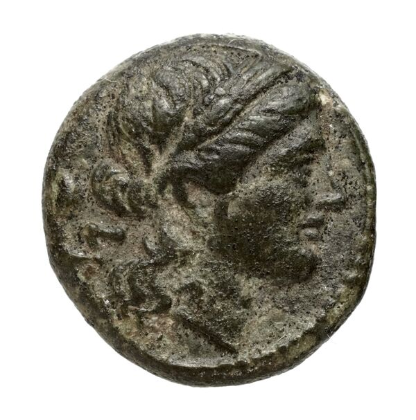 Paestum Historia Numorum Italy 1194, аверс, bnf-iris