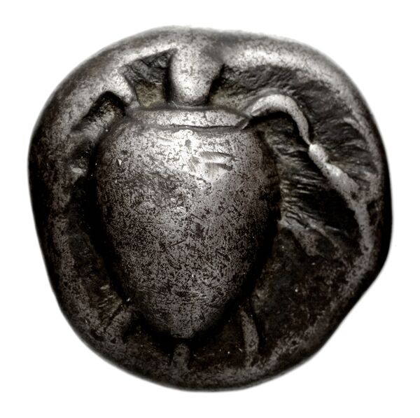 Aegina Meadows and Askari, forthcoming 1b, аверс, bnf-iris
