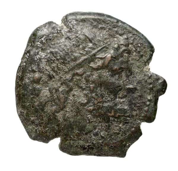 Paestum Historia Numorum Italy 1192, аверс, bnf-iris