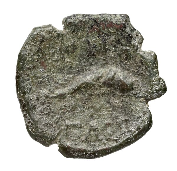 Paestum Historia Numorum Italy 1192, реверс, bnf-iris