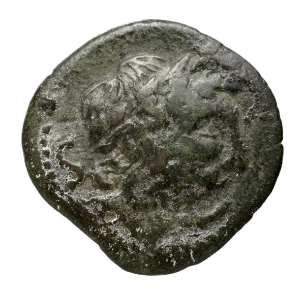 аверс Paestum Historia Numorum Italy 1220