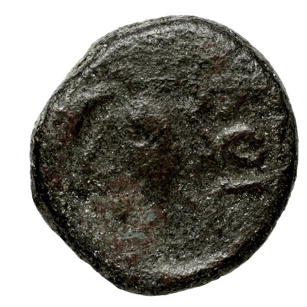 reverse Locri Opuntii (Opus) Morineau and Delbridge 2014 Group 12