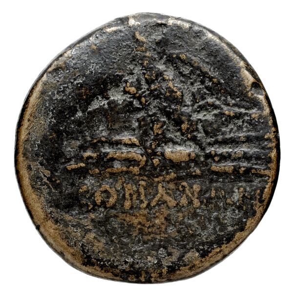 реверс Paestum Historia Numorum Italy 1195