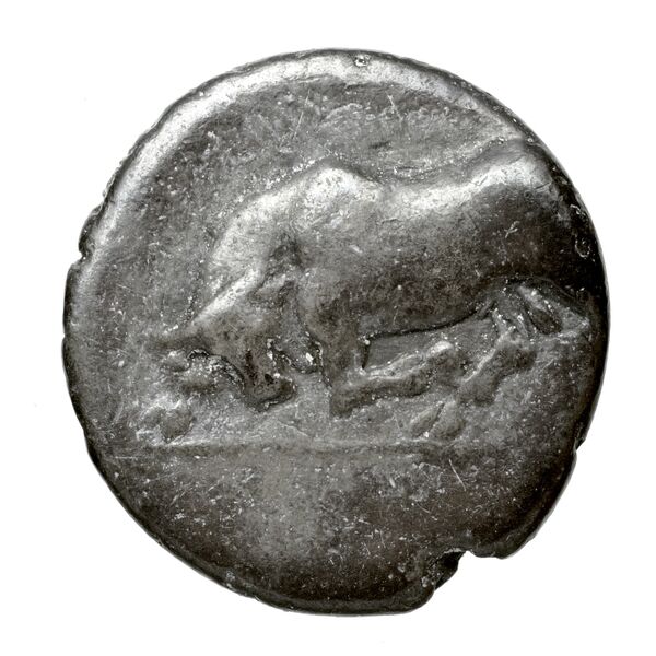 Phlius BMC Phlius 18-22, аверс, bnf-iris