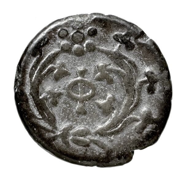 Phlius BMC Phlius 18-22, реверс, bnf-iris