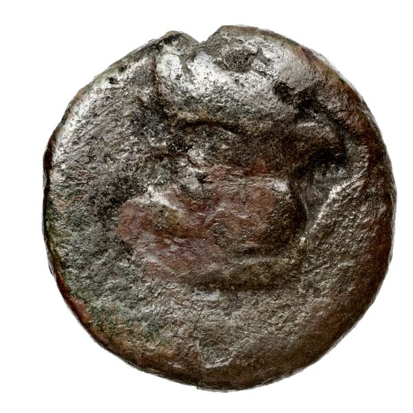 obverse Locri Opuntii (Opus) Morineau and Delbridge 2014 Group 30-2