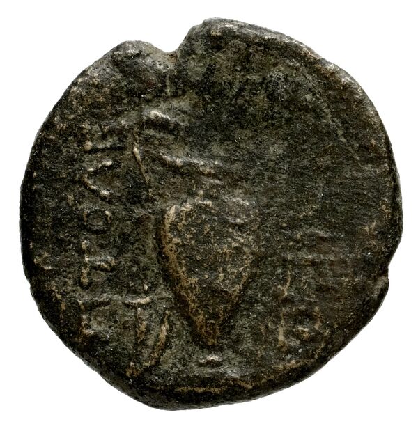 Lebedus SNG Von Aulock 2026, реверс, bnf-iris