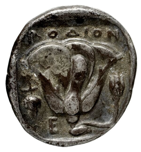 reverse Lebedus Kinns 1980 Period III, AE 9