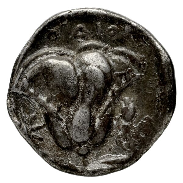 Rhodes Ashton 2001 170, реверс, bnf-iris