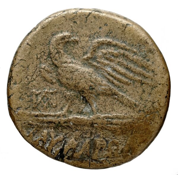 Thyateira Hochard 2020 2.1.2360, реверс, bnf-iris