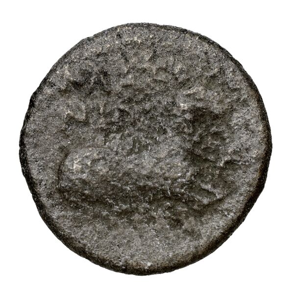 реверс Damastium May 1939 Group VIII tetradrachms