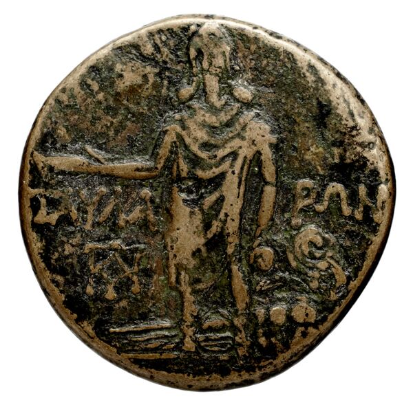 Thyateira Hochard 2020 2.1.2360, реверс, bnf-iris
