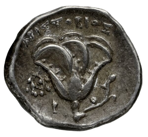 Rhodes Ashton 2001 180-7, реверс, bnf-iris