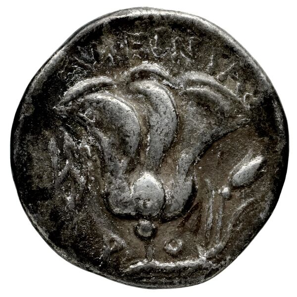 Rhodes Ashton 2001 224-5, реверс, bnf-iris