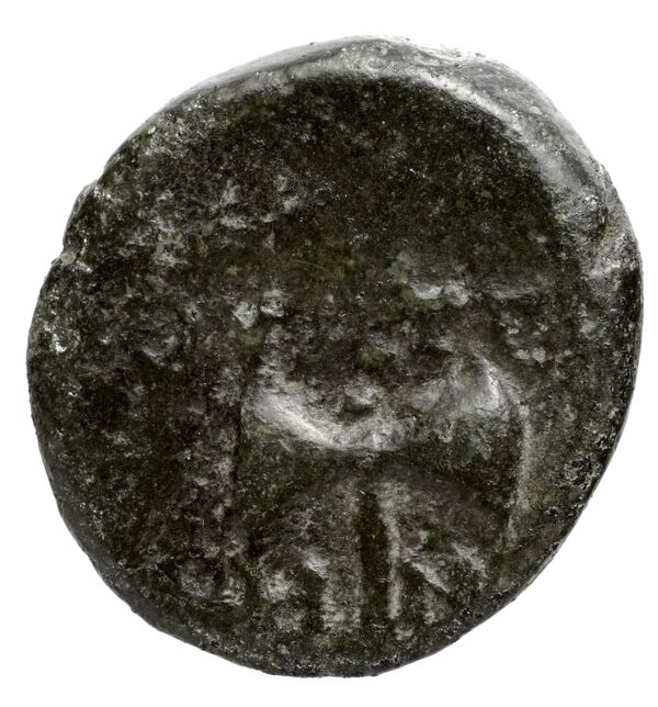 Magnesia ad Maeandrum BMC Magnesia 8-13, reverse, bnf-iris