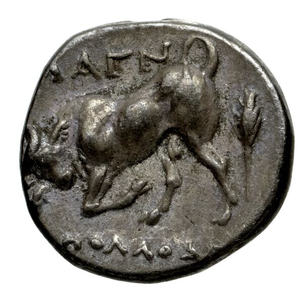 Magnesia ad Maeandrum BMC Magnesia 8-13, reverse, bnf-iris