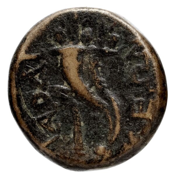 Magnesia ad Maeandrum BMC Magnesia 15-16, реверс, bnf-iris