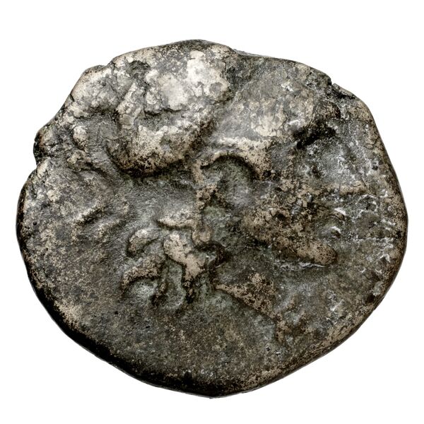 obverse Agrigentum SNG ANS 1135-1137