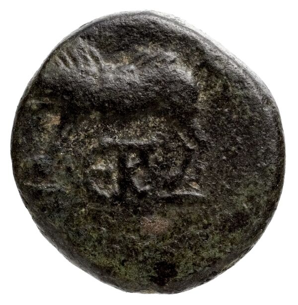 Amastris Waddington 1925 14, obverse, bnf-iris