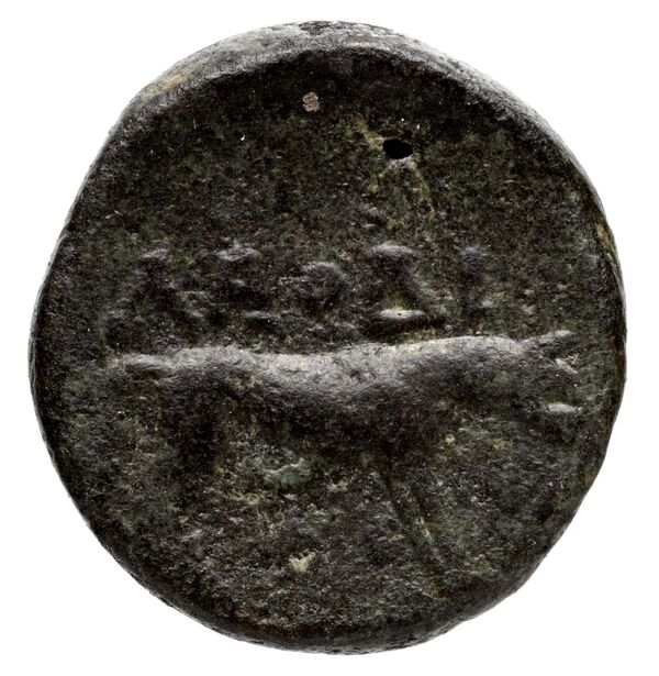 Amastris Waddington 1925 14, reverse, bnf-iris