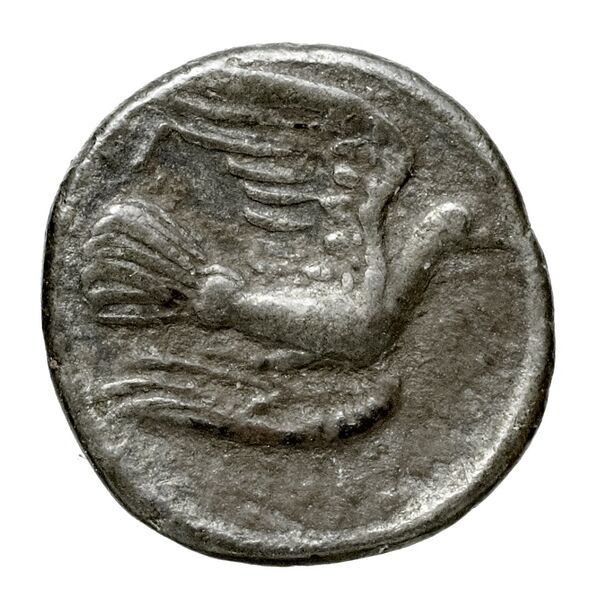 Rhodes Ashton 2001 212-6, реверс, bnf-iris
