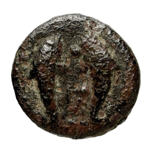 Rhodes Ashton 2001 217-23, аверс, bnf-iris