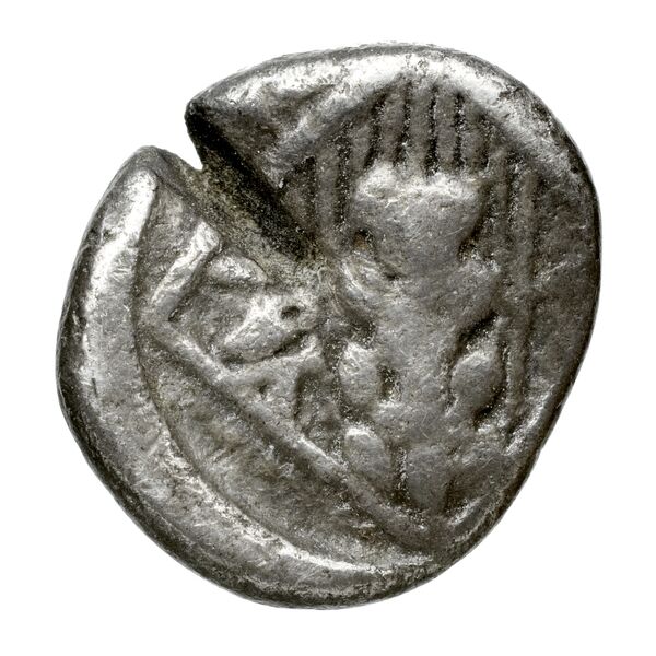 Tarsus Casabonne 2000 B3, реверс, bnf-iris