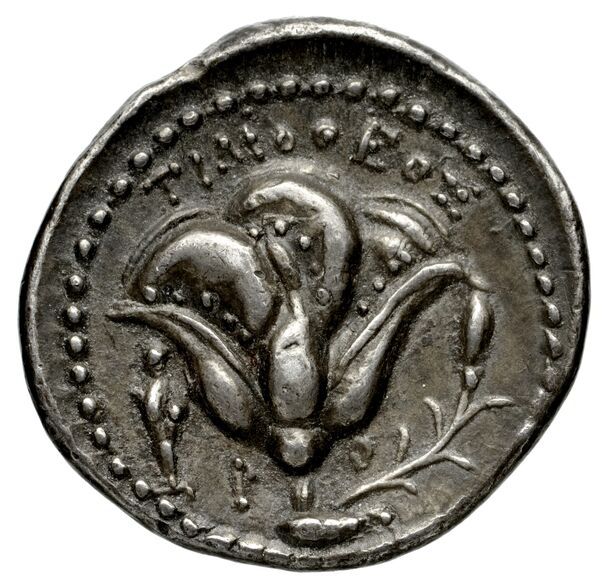 Syracuse Puglisi 2009 295, реверс, bnf-iris