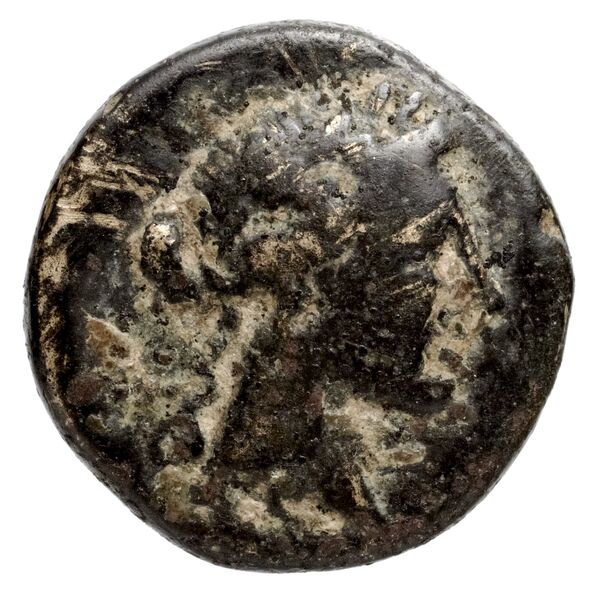 Philip V Macedon AMNG III.2 3, аверс, bnf-iris