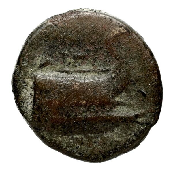 аверс Aegina BMC Aegina pl. XXVI, 3