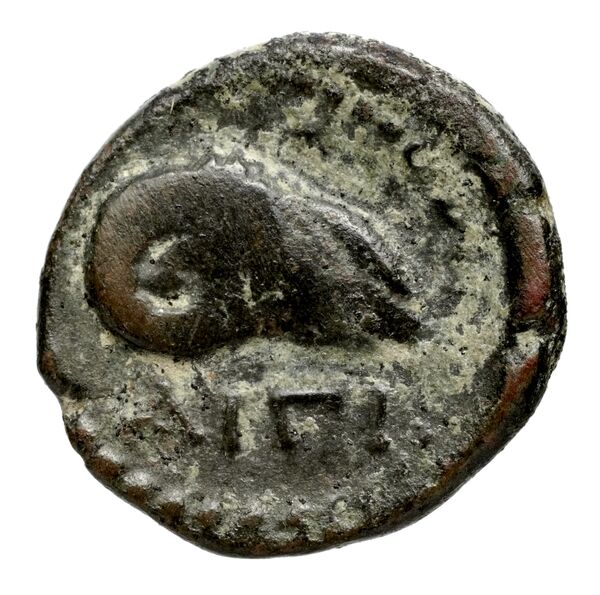реверс Aegina BMC Aegina pl. XXVI, 3