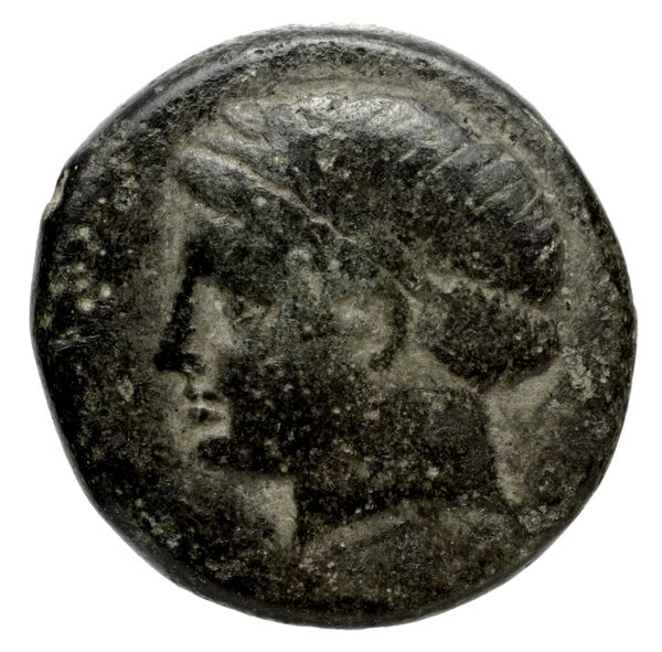 Philip V Macedon AMNG III.2 4-6, аверс, bnf-iris