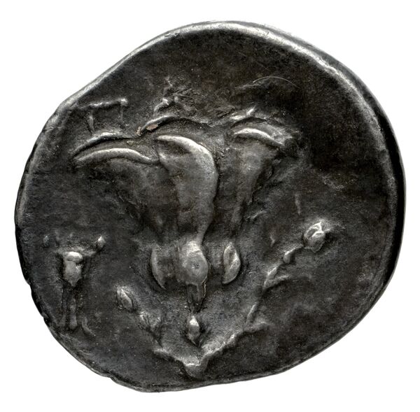 Philip V Macedon AMNG III.2 4-6, реверс, bnf-iris