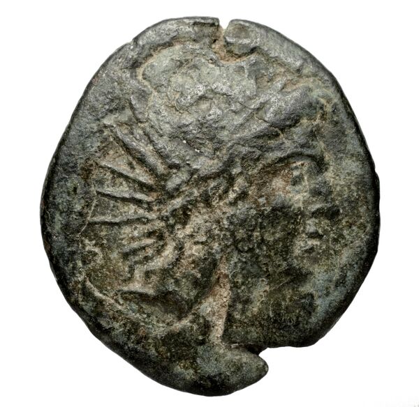 Timoleon Syracuse SNG ANS 493, аверс, bnf-iris