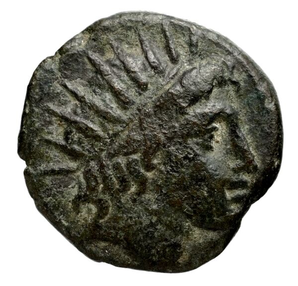 Philip V Macedon AMNG III.2 25, аверс, bnf-iris
